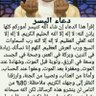 Mouh Amroune's profile picture