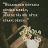 Фото профиля Berk