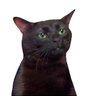Profilbild von MadChops