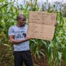 Jusper Machogu's profile picture