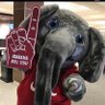 Bama girl 🐘❤️🏈🌊🏳️🌈 ☮️ 🇺🇸 profil fotoğrafı