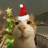 Glaed's profile picture