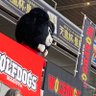 めるどさん 的头像