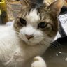 セナ profil fotoğrafı