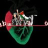 مصرى. دمى فلسطينى profil fotoğrafı