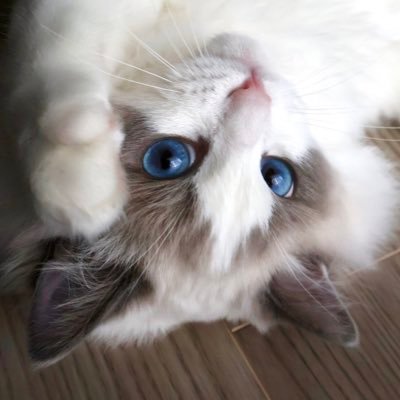 komachi_624's profile picture