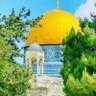 Profilbild von نقاء قلب