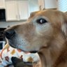 Kaii ~.~ profil fotoğrafı