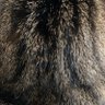 tssan profil fotoğrafı