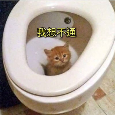 啥都不擅长's profile picture