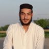 Muhammad Umer Abbasi 的头像