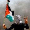 213International 🇵🇸🇩🇿 的头像