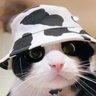 Profilbild von Xinix Xagnix