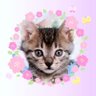Vienna's profile picture