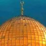 محمد كريام الجزائري's profile picture