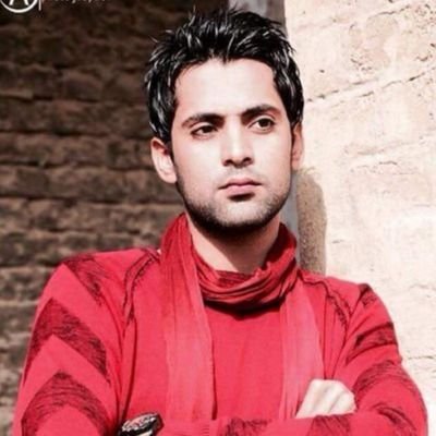 safaa_alwali's profile picture