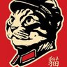 Comrade Kitten's profile picture