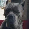 SPARTA's profile picture