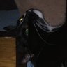ovinehall's profile picture