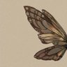 ReeMa 🦋 的头像