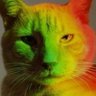 Profilbild von mãe de pet
