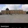 زهرة المدائن 的头像