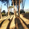 Days Likethis 🇿🇦 的头像