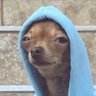 Profilbild von Top Jigga