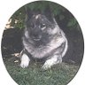 Pinnacle7 profil fotoğrafı