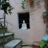 Sara (la Signora)cerca la tua pace 🧘‍♀️🌟's profile picture