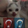 Navy(ඞ) profil fotoğrafı