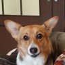 気持与三郎's profile picture