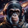 Фото профиля Space Monkey - קוף חלל