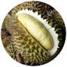 ドリアンDurian's profile picture