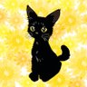 Profilbild von シャノワール