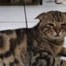 Profilbild von Anyie Betta