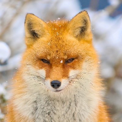 黒崎十士郎's profile picture