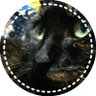 にゃんこ😺 profil fotoğrafı
