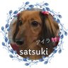 Profilbild von satsuki(🐥さつきたん╰( U ・ᴥ・)m🐾)