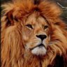Profilbild von Libertarian
