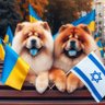 Фото профиля Marina-Chow 🇪🇺💜🇩🇪💜🏳️‍🌈💜🇺🇦💜🇮🇱💜