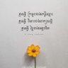 BlackNAGA 的头像