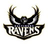 Tee's profile picture