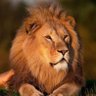Profilbild von zaza12 _23