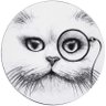 Фото профиля Fab & the Cats