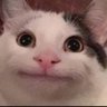 Kamil's profile picture