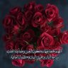 Profilbild von Ahmed Ahmed