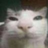 Wilson's profile picture