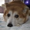 なー's profile picture