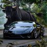 MTR Wealth's profile picture